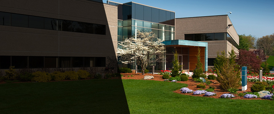 Rockaway Landscapers