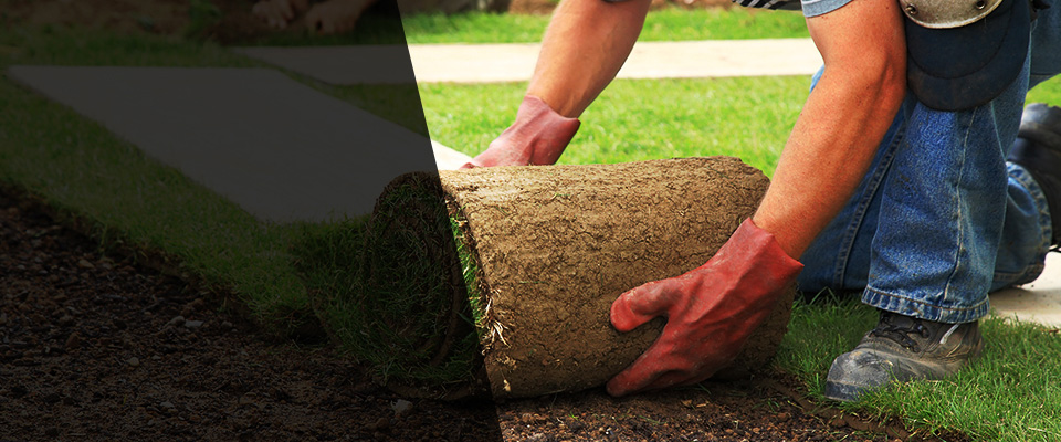 Rockaway Landscapers